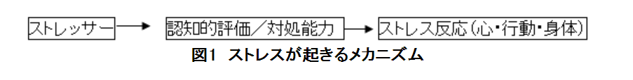 ストレスとは