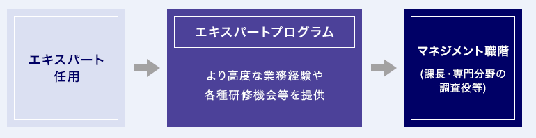 エキスパートプログラム