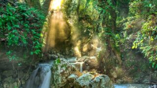 キャリアドリフトとは？変化の激しい時代に自分の将来を考えるために